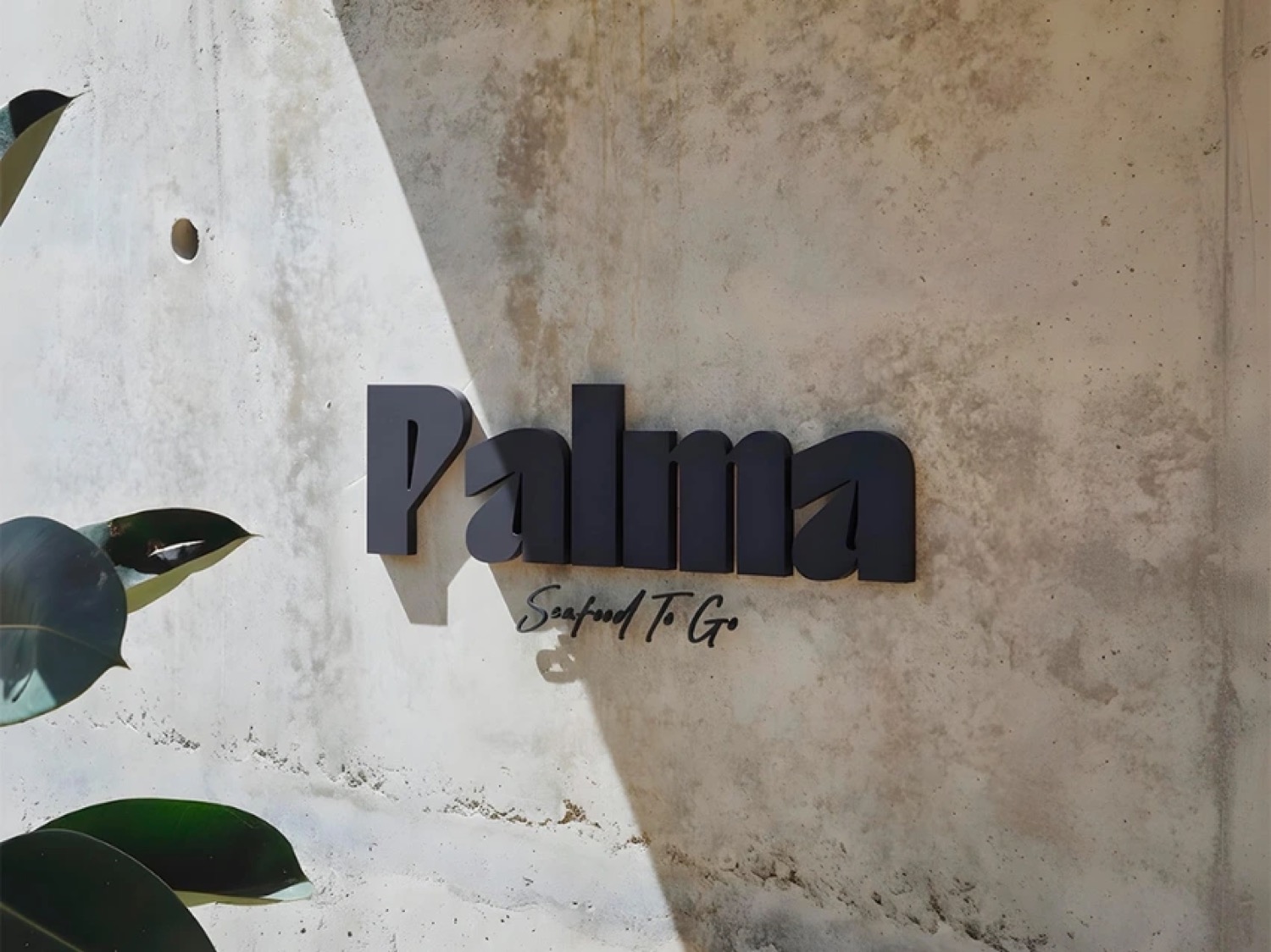 Palma, diseño y branding por CBAS, pieza 06